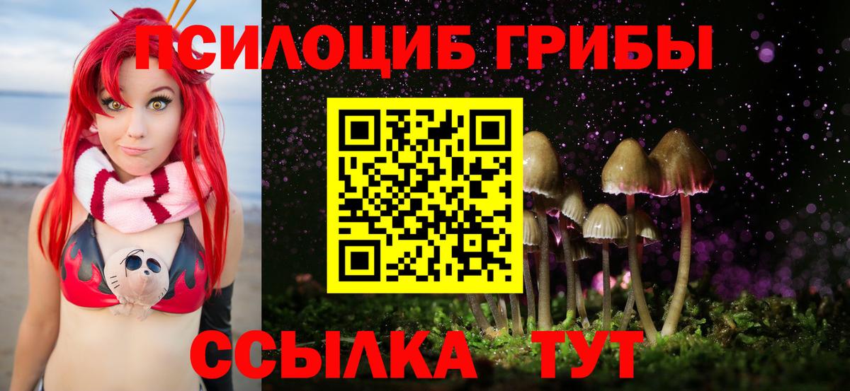 Галлюциногенные грибы Magic Shrooms  цены наркотик  Лесосибирск  Вход с VPN  Псилоцибиновые грибы прущие грибы 