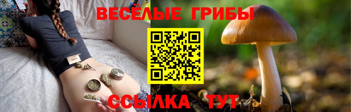 Галлюциногенные грибы Magic Shrooms Лесосибирск